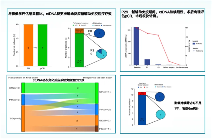 QkipoJ-20241017165328-rJDczl-_副本.png