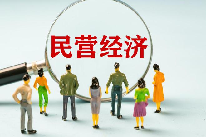 金觀平：規(guī)范用權(quán)激發(fā)民營經(jīng)濟活力