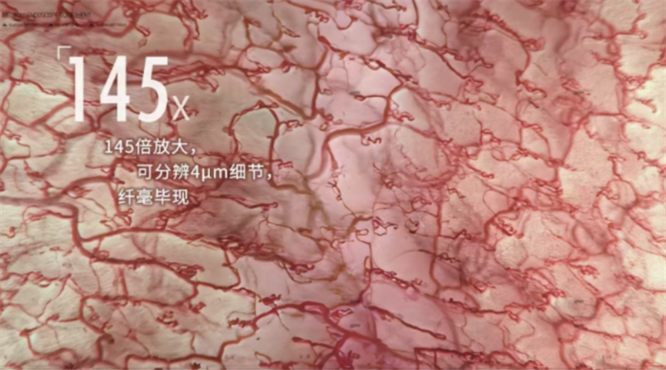 20250612153811617935525.png