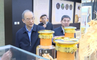 吉林省委書記黃強(qiáng)到延邊調(diào)研，實(shí)地察看人參企業(yè)