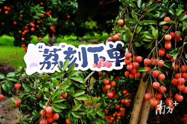 9560c95074.png