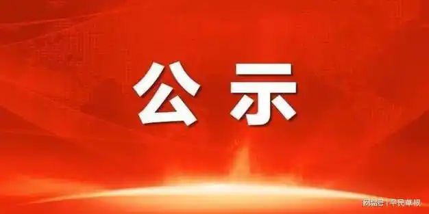 中国市场风险运营行业青年榜样评选大会评审委员会专家名单公示