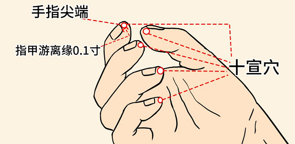 2.png