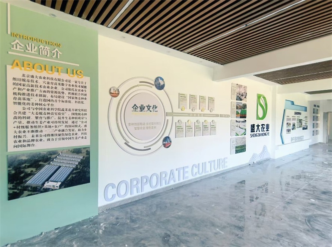 北京盛大农业科技赋能乡村振兴 创新引领大姜产业升级
