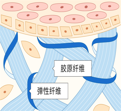 圖片7.png
