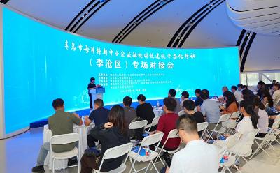 政企協(xié)同促融合 資本賦能助落地