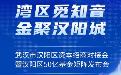 大灣區(qū)里尋知音，漢陽區(qū)資本盛宴即將開啟