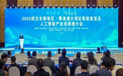 市駐穗辦攜手蔡甸區(qū)成功舉辦2025武漢市蔡甸區(qū)·粵港澳大灣區(qū)智能家居及人工智能產(chǎn)業(yè)招商推介會