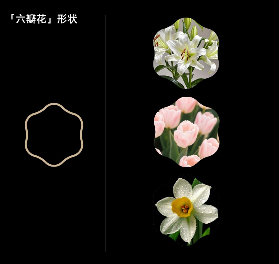 图片 4.jpg