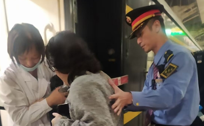 温情相伴盲人旅客 Z501 次列车全程守护 “看不见” 的暖心旅程