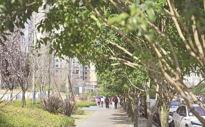 贵州省推动“口袋公园”建设 提升城市活力空间新闻发布会在贵阳举行