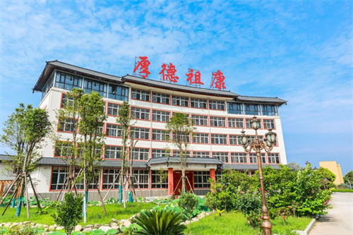 厚德祖康的“健康共富论”：让百万家庭用上宫廷秘方