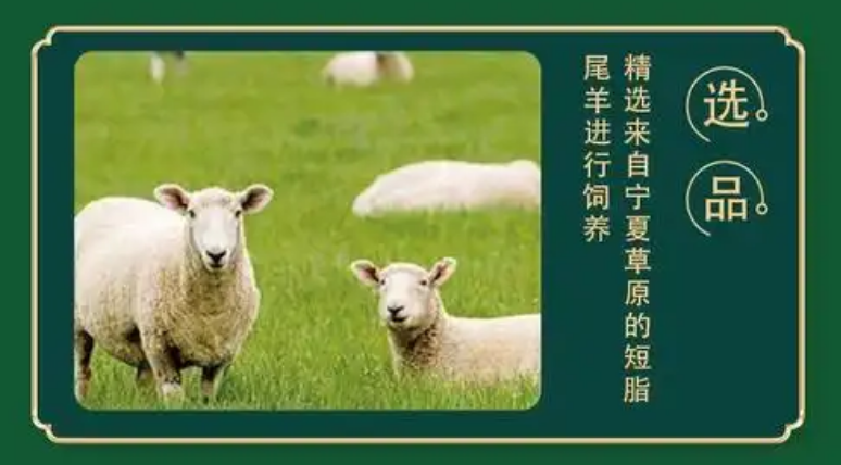 灵武市携“黄金奶源”与“滩羊臻品”即将亮相第二十二届国际农产品交易会